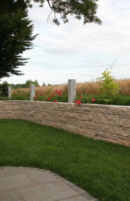 IMG_1695.JPG.jpg